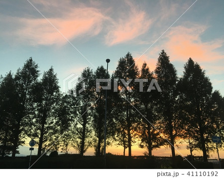 ある日の夕暮れ 41110192