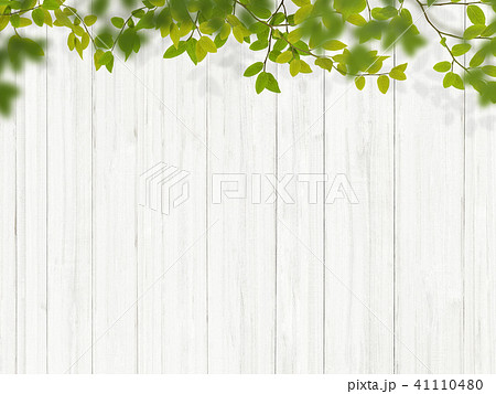 背景 植物 白壁のイラスト素材