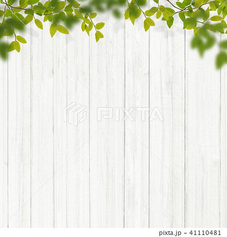 288950 White Wall Photos and Premium High Res Pictures  Getty Images