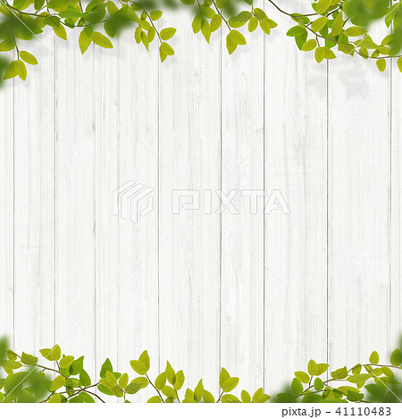 背景 植物 白壁のイラスト素材
