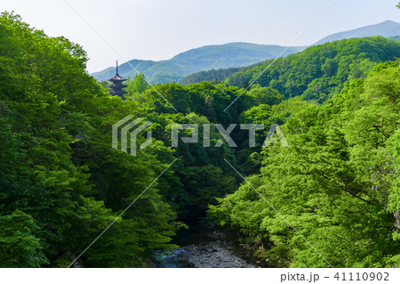 定義如来 五重塔 Japanese Five-fold tower in joginyorai 41110902