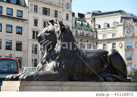 トラファルガー広場のライオン像の写真素材