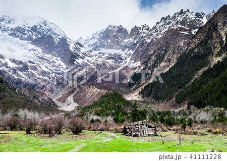 Grassland and Meili snow mountain landscape Grassland and Meili snow mountain landscape 41111228