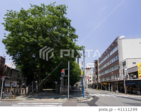 名古屋駅裏界隈 名古屋市中村区　椿神社 41111299