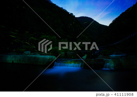 中追渓谷の蛍 41111908