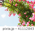 バラのアーチ 41112843