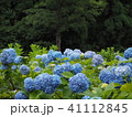 あじさい畑 41112845