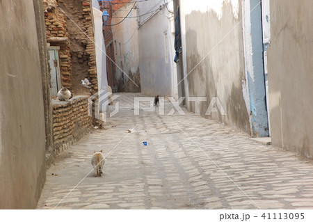 チュニジア・世界遺産古都ケルアン旧市街メディナの街並み（猫） 41113095