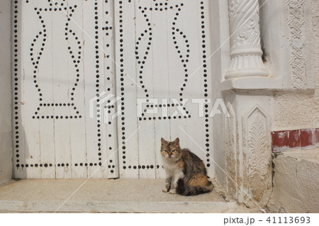 チュニジア 世界遺産チュニス旧市街の街並み 猫 の写真素材