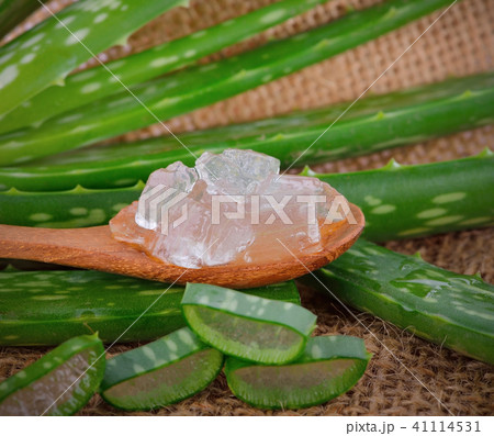 Aloe vera on a background. Aloe vera on a background. 41114531