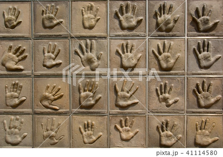 手 手のひら ハンドプリンティング 41114580
