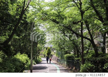親子　帰り道 41114857