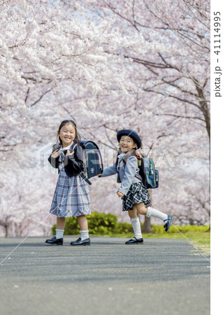 桜の咲く公園を歩く新一年生と新入園児 桜の咲く公園を歩く新一年生と新入園児 41114995