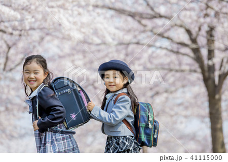 桜の咲く公園を歩く新一年生と新入園児 桜の咲く公園を歩く新一年生と新入園児 41115000