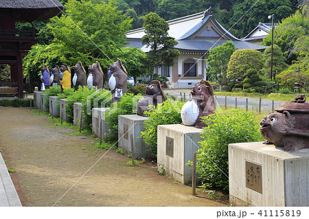 茂林寺 たぬき 館林 茂林寺 たぬき 館林 41115819