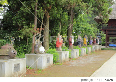 茂林寺 たぬき 館林 茂林寺 たぬき 館林 41115820