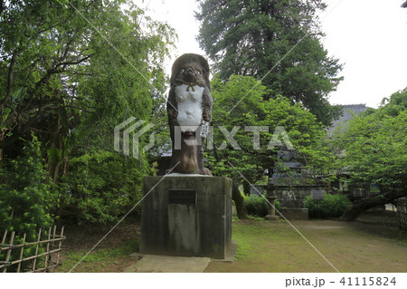 茂林寺 たぬき 館林 茂林寺 たぬき 館林 41115824