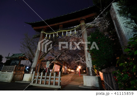 鷲宮神社の夜桜 41115859