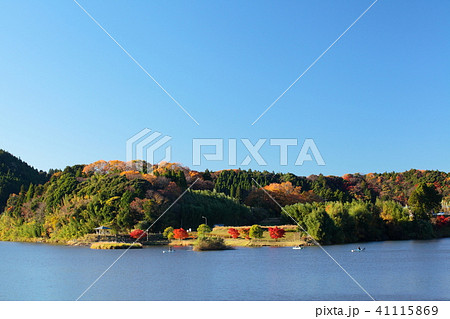 紅葉の亀山湖 紅葉の亀山湖 41115869