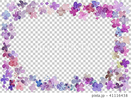 flower frame pink 41116438