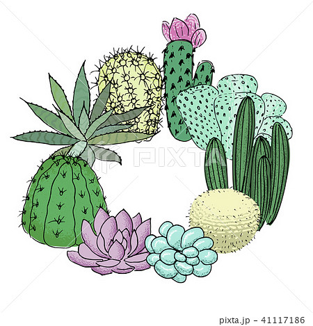 Succulent cactus set roundelay. Place for text. agave, aloe, gastraea, echeveria, Pachyphytum, Succulent cactus set roundelay. Place for text. agave, aloe, gastraea, echeveria, Pachyphytum, 41117186
