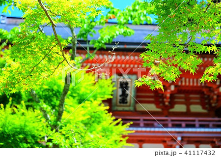 鞍馬 新緑 信仰 鞍馬 新緑 信仰 41117432