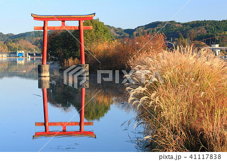 紅葉の亀山湖 41117838