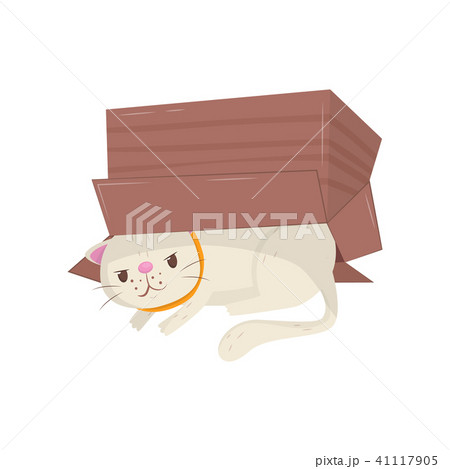 Funny cat hiding under cardboard box. Kitten with cunning muzzle expression. Domestic animal. Flat Funny cat hiding under cardboard box. Kitten with cunning muzzle expression. Domestic animal. Flat 41117905