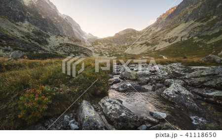 Creek in the Valley under the Mountain Peaks Creek in the Valley under the Mountain Peaks 41118650