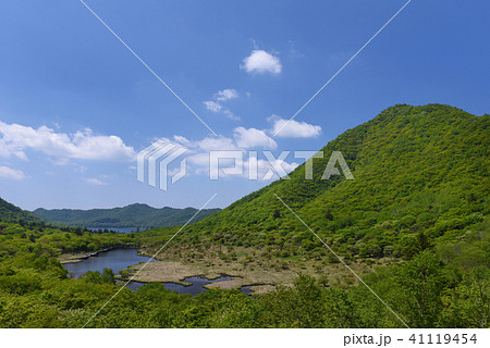 赤城山鳥居峠からの覚満渕と大沼 赤城山鳥居峠からの覚満渕と大沼 41119454