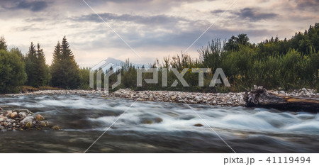 Landscape with River, Forest and Mountain 41119494
