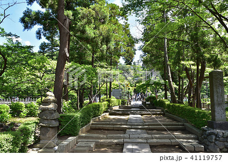 北鎌倉円覚寺の総門門前 北鎌倉円覚寺の総門門前 41119757