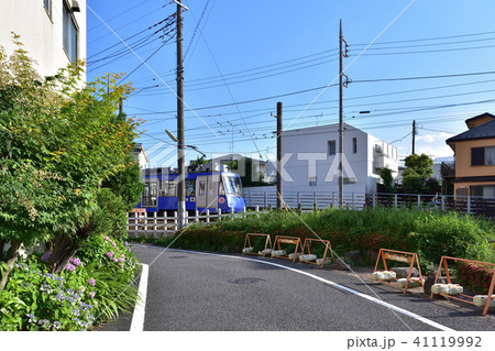 東急世田谷線と紫陽花の沿線風景 東急世田谷線と紫陽花の沿線風景 41119992