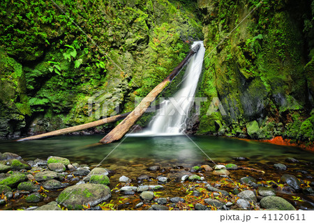 Salto do Cagarrao Waterfall, Sao Miguel, Azores 41120611