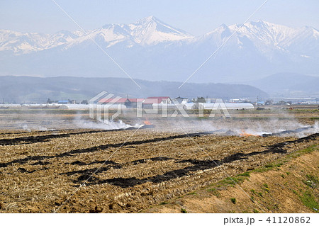 大雪周辺の山々と野焼き作業 大雪周辺の山々と野焼き作業 41120862