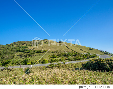 【静岡県】雲一つない青空・初夏の高原風景【西伊豆スカイライン・伊豆山稜線歩道・だるま山周辺】 41121140