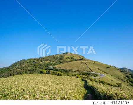 【静岡県】雲一つない青空・初夏の高原風景【西伊豆スカイライン・伊豆山稜線歩道・だるま山周辺】 41121153