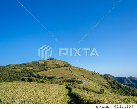 【静岡県】雲一つない青空・初夏の高原風景【西伊豆スカイライン・伊豆山稜線歩道・だるま山周辺】 41121154
