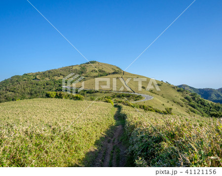 【静岡県】雲一つない青空・初夏の高原風景【西伊豆スカイライン・伊豆山稜線歩道・だるま山周辺】 【静岡県】雲一つない青空・初夏の高原風景【西伊豆スカイライン・伊豆山稜線歩道・だるま山周辺】 41121156