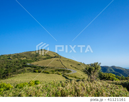 【静岡県】雲一つない青空・初夏の高原風景【西伊豆スカイライン・伊豆山稜線歩道・だるま山周辺】 41121161