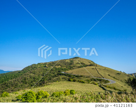 【静岡県】雲一つない青空・初夏の高原風景【西伊豆スカイライン・伊豆山稜線歩道・だるま山周辺】 【静岡県】雲一つない青空・初夏の高原風景【西伊豆スカイライン・伊豆山稜線歩道・だるま山周辺】 41121163