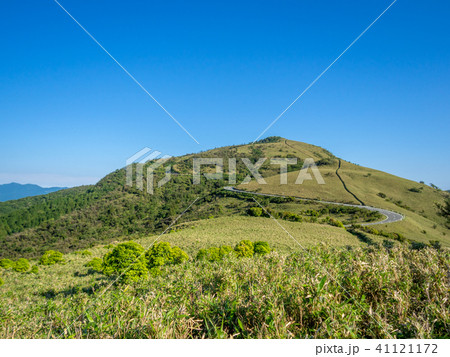 【静岡県】雲一つない青空・初夏の高原風景【西伊豆スカイライン・伊豆山稜線歩道・だるま山周辺】 【静岡県】雲一つない青空・初夏の高原風景【西伊豆スカイライン・伊豆山稜線歩道・だるま山周辺】 41121172