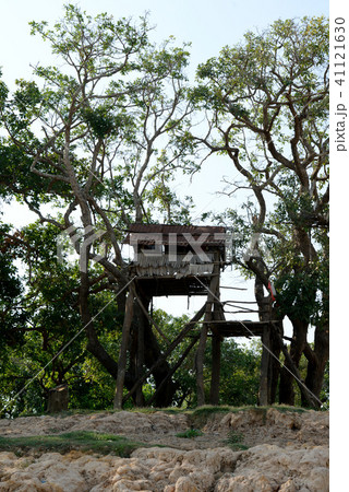 CAMBODIA SIEM REAP LAKE TONE SAP KOMPONG PLUK CAMBODIA SIEM REAP LAKE TONE SAP KOMPONG PLUK 41121630