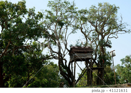 CAMBODIA SIEM REAP LAKE TONE SAP KOMPONG PLUK 41121631