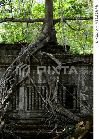 CAMBODIA SIEM REAP ANGKOR BENG MEALEA TEMPLE 41121646