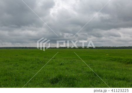 Green field before the storm 41123225