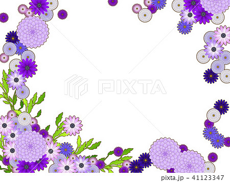 ダリアとアスターのフレーム ダリアとアスターのフレーム 41123347