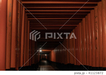 京都市伏見区稲荷大社で撮影した千本鳥居及び境内の風景 41123872