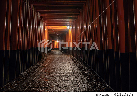 京都市伏見区稲荷大社で撮影した千本鳥居及び境内の風景 41123878