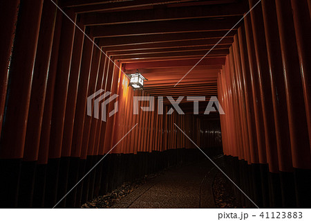 京都市伏見区稲荷大社で撮影した千本鳥居及び境内の風景 41123883